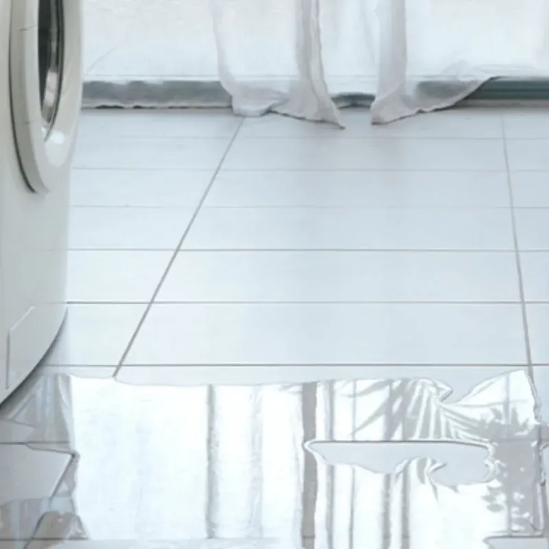 Appliance Leak Cleanup in Houston County, TN