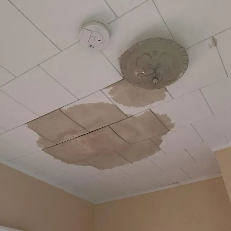 Ceiling Water Damage Repair in Houston County, TN
