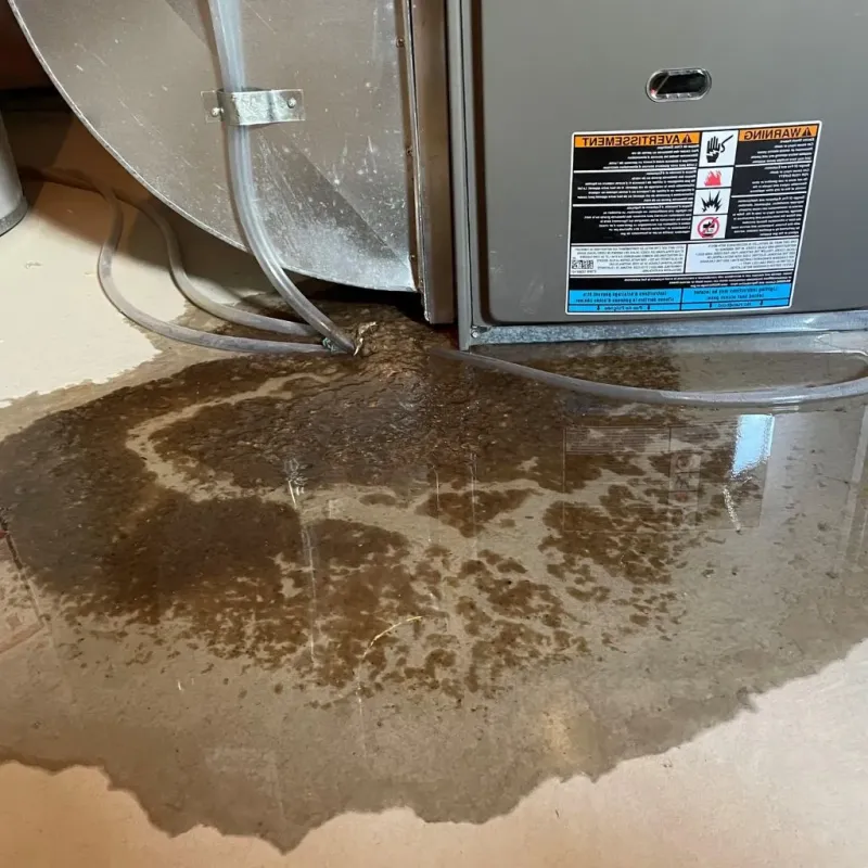 Pipe Burst and Leak Restoration in Houston County, TN