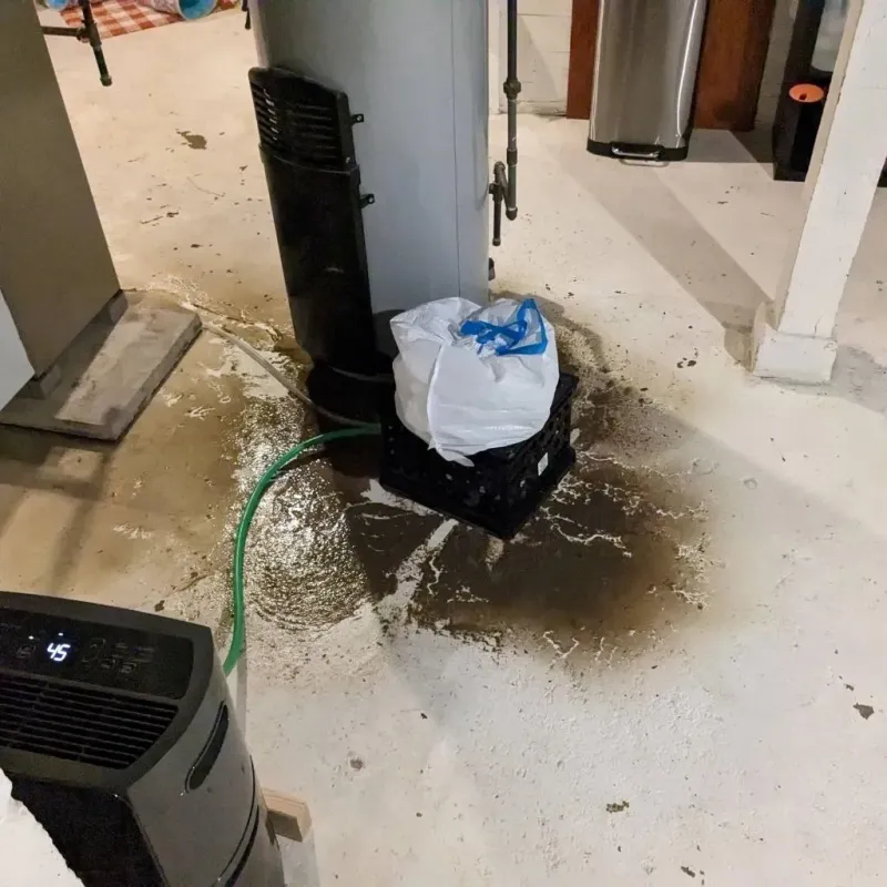 Sewage Backup Cleanup Service in Houston County, TN